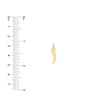 Load image into Gallery viewer, The Cornicello &quot;Italian Horn&quot; With Diamond 14kt Gold Pendant Charm